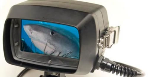The "SHARK" - Analog SD/HDTV Underwater Monitor